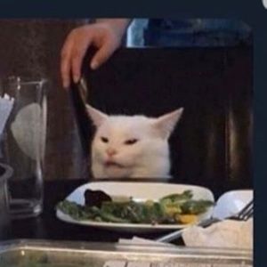 Meet your Posher, Paula